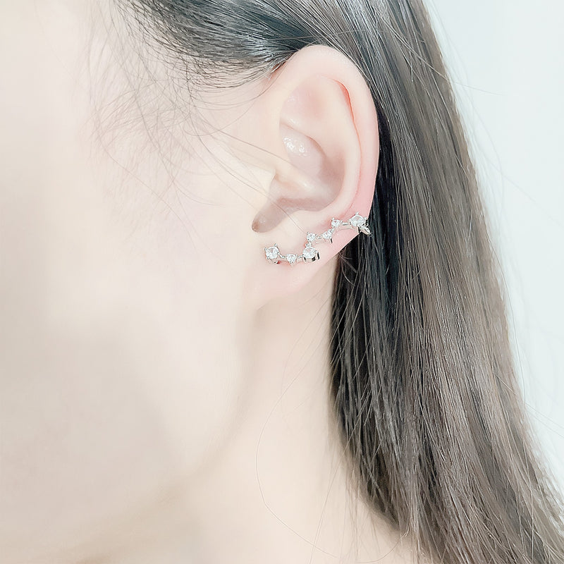 stellar earrings